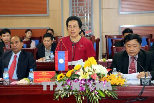 Ủy ban Dân tộc của Quốc hội Lào làm việc với Hội đồng Nhân dân tỉnh Nghệ An ảnh 1